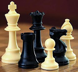مسابقات دوستانه شطرنج ورزشکاران نابینا و کم بینا
